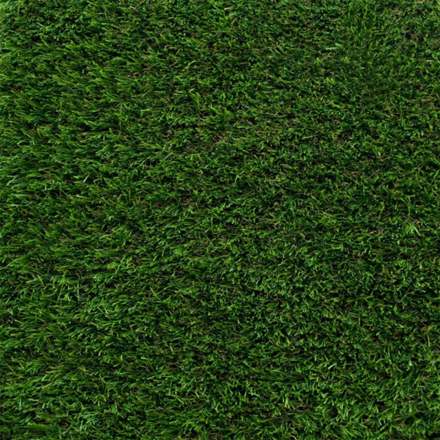 Albion Artificial Grass