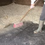 RC0411017-S - Studded Rubber Stable Matting - In Use